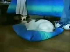 Porno berba galeriji tu i tamo nevinost